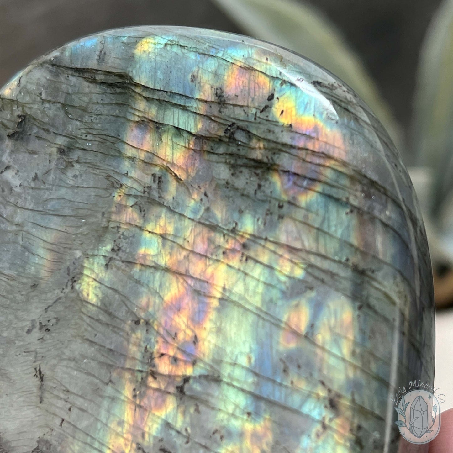Polished Rainbow Flash Labradorite Freeform