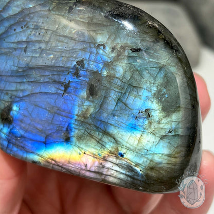 Polished Blue Flash Labradorite Freeform