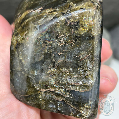 Polished Blue Flash Labradorite Freeform