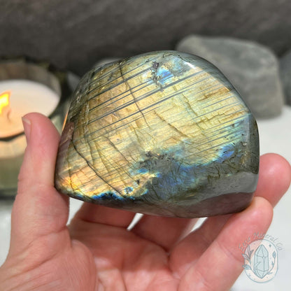 Polished Golden-Blue Flash Labradorite Freeform