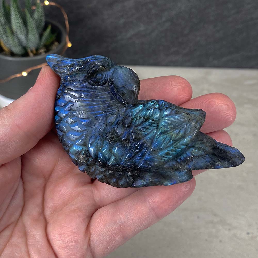 Polished Blue Flash Labradorite Parrot Carving