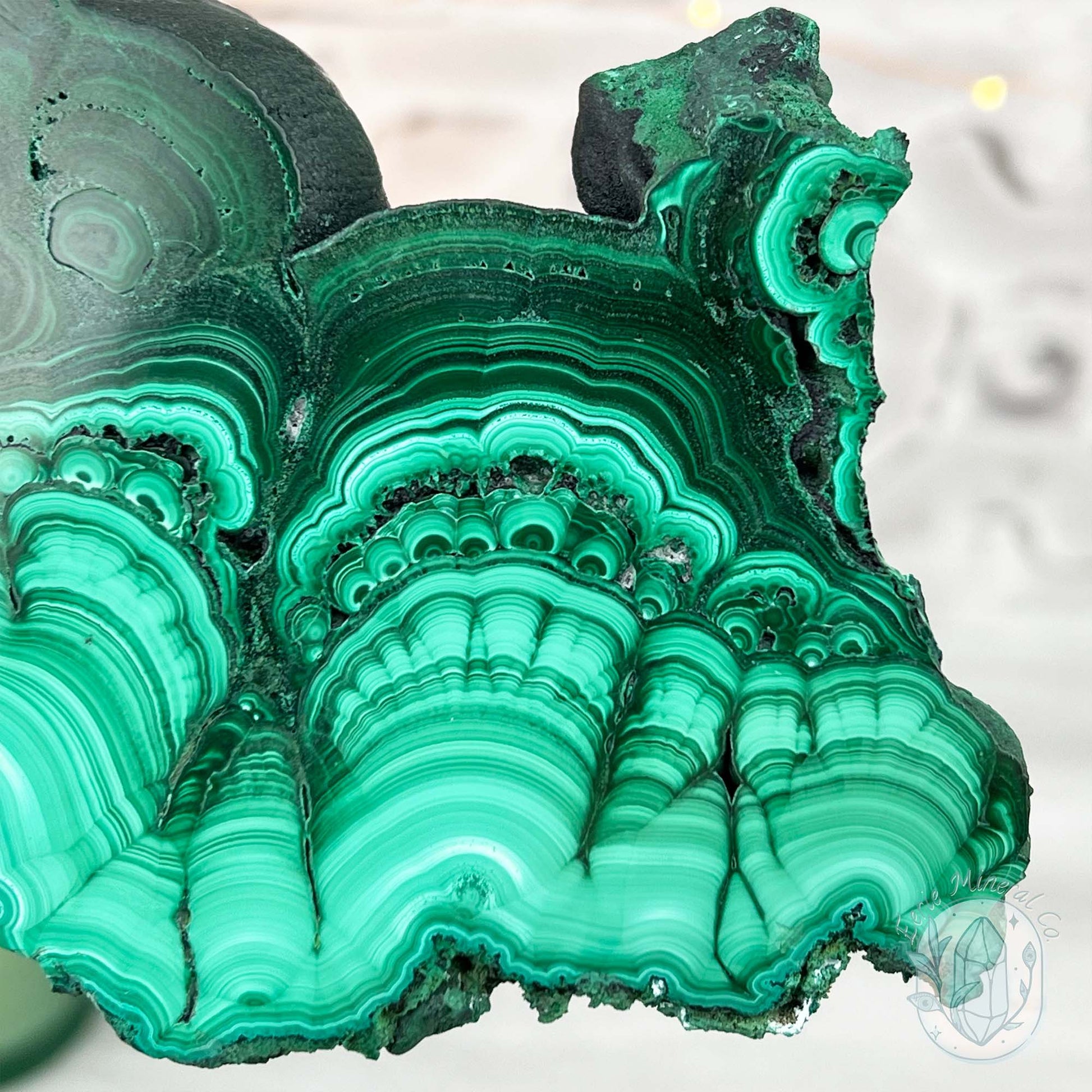 Polished .60" Thick Malachite Specimen Slab