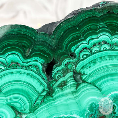Polished .60" Thick Malachite Specimen Slab