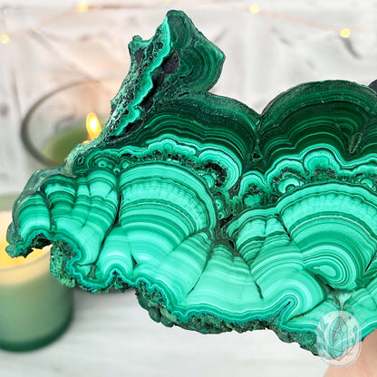 Polished .60" Thick Malachite Specimen Slab