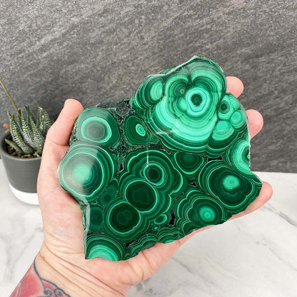Polished Malachite Slab