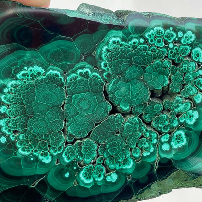 Polished Malachite Slab