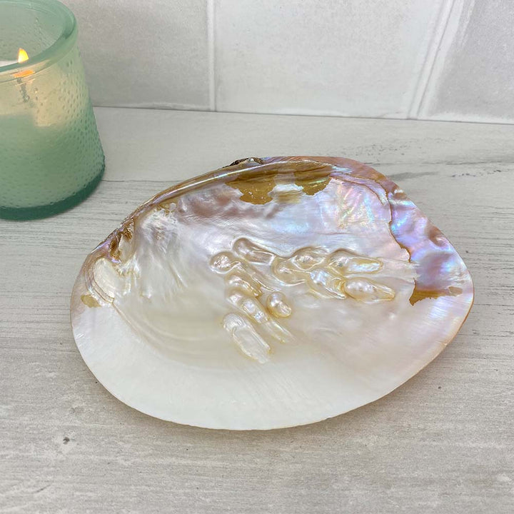 Mother of Pearl Smudging Shell