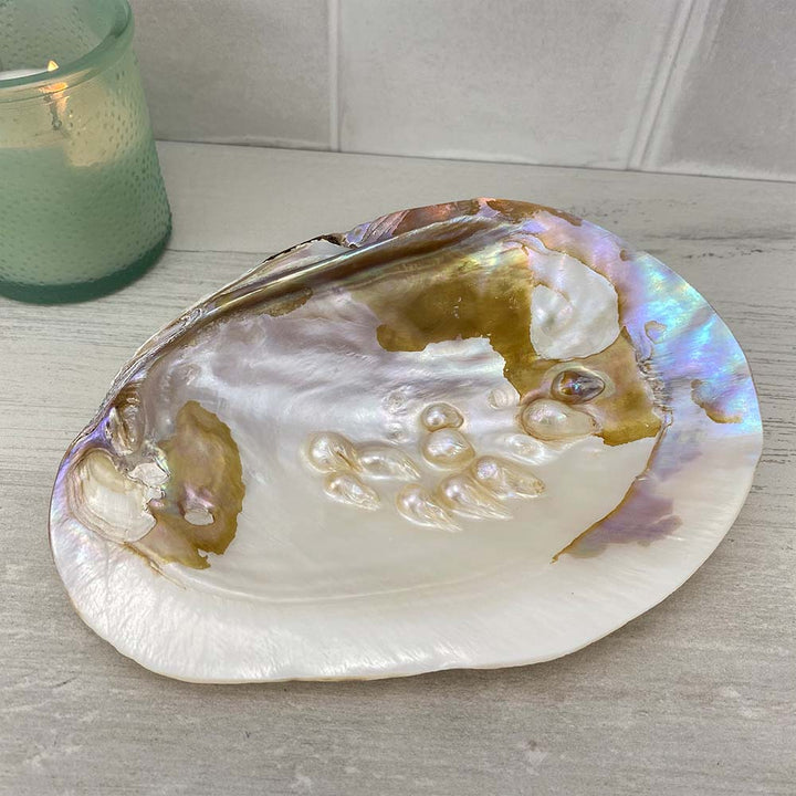 Mother of Pearl Smudging Shell