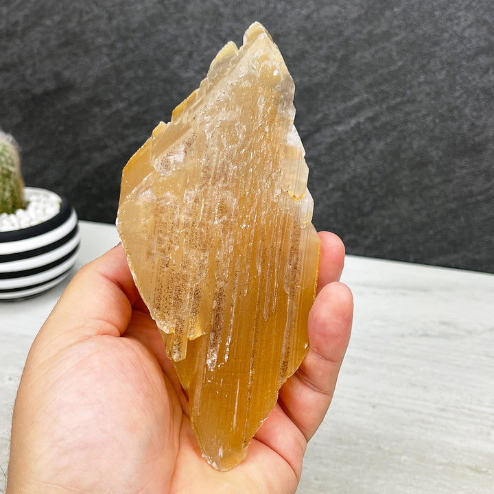 naica mine selenite crystal