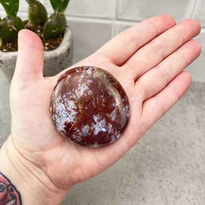 ocean jasper palmstone
