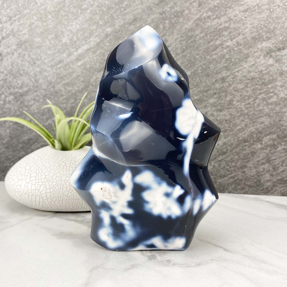 Polished Orca Agate Flame