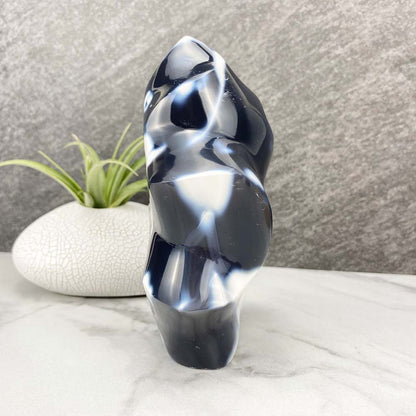 Polished Orca Agate Flame