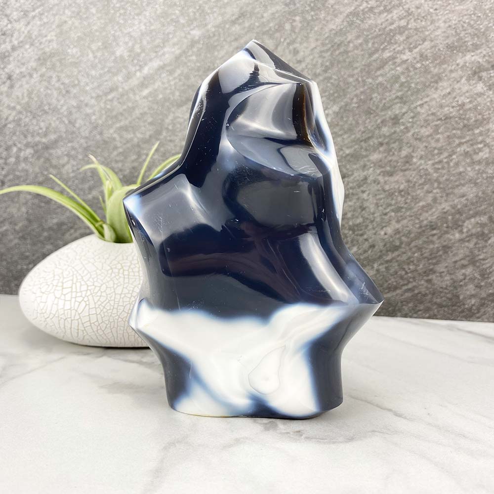 Polished Orca Agate Flame