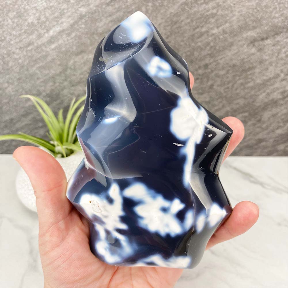 Polished Orca Agate Flame