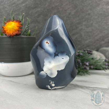 Polished Black and White Orca Agate Flame