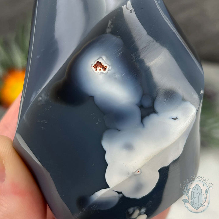 Polished Black and White Orca Agate Flame