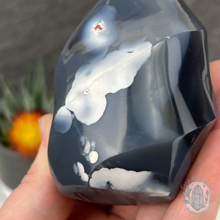 Polished Black and White Orca Agate Flame