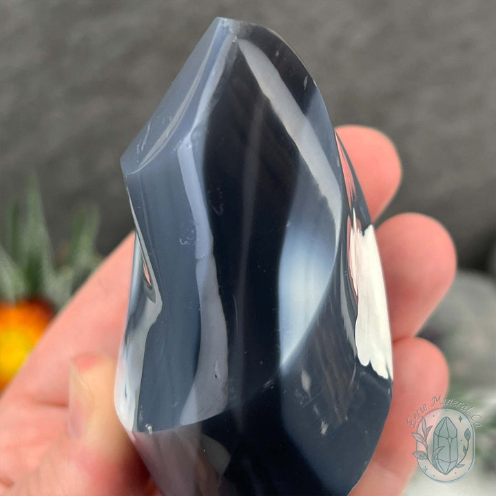 Polished Black and White Orca Agate Flame