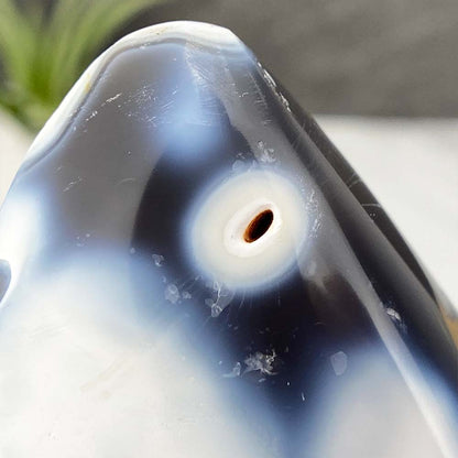 Polished Orca Agate Flame