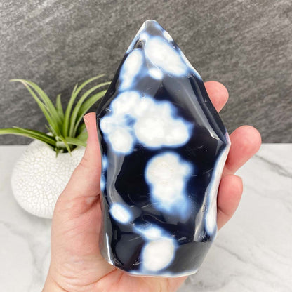 Polished Orca Agate Flame