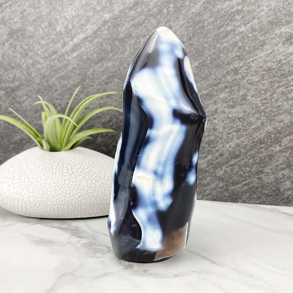 Polished Orca Agate Flame