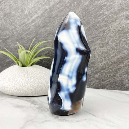 Polished Orca Agate Flame