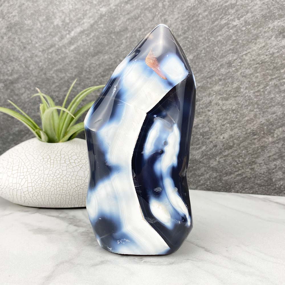 Polished Orca Agate Flame