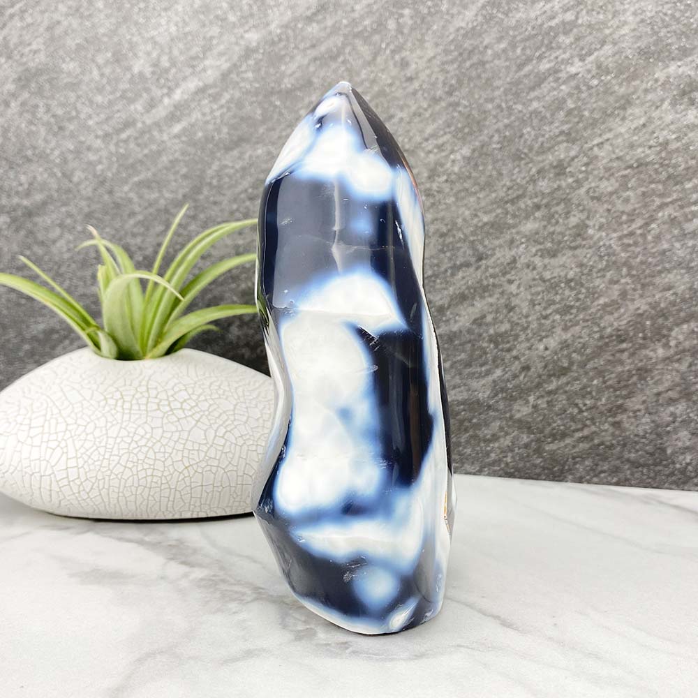 Polished Orca Agate Flame