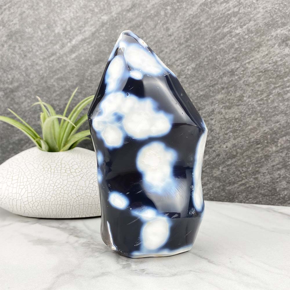 Polished Orca Agate Flame