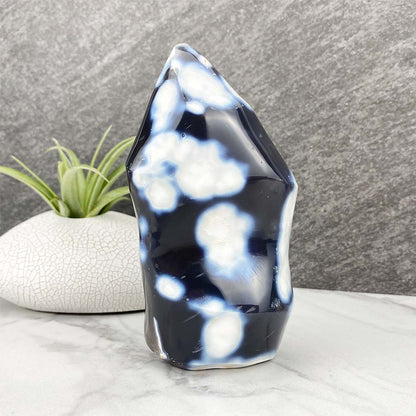 Polished Orca Agate Flame