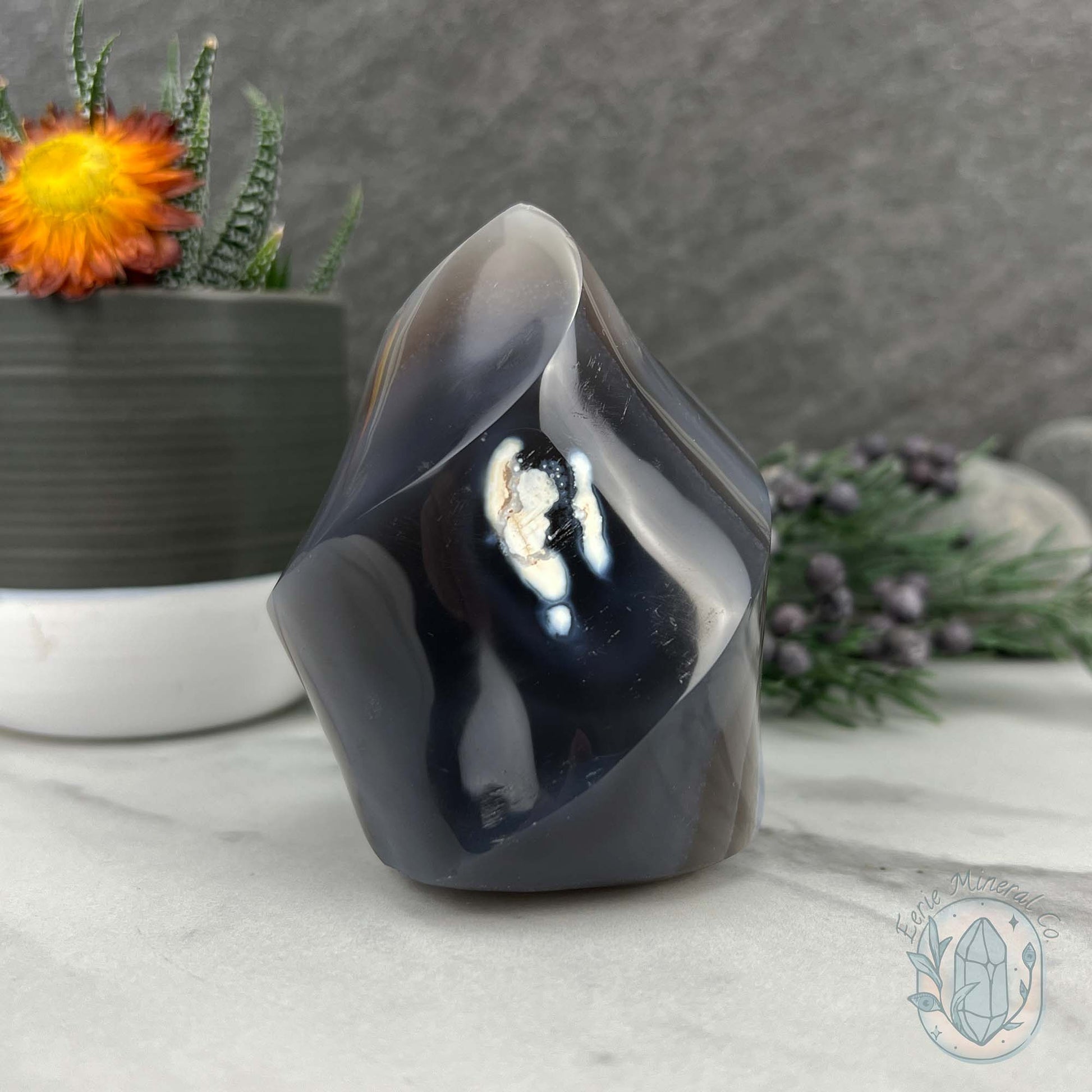 Polished Black and White Orca Agate Flame