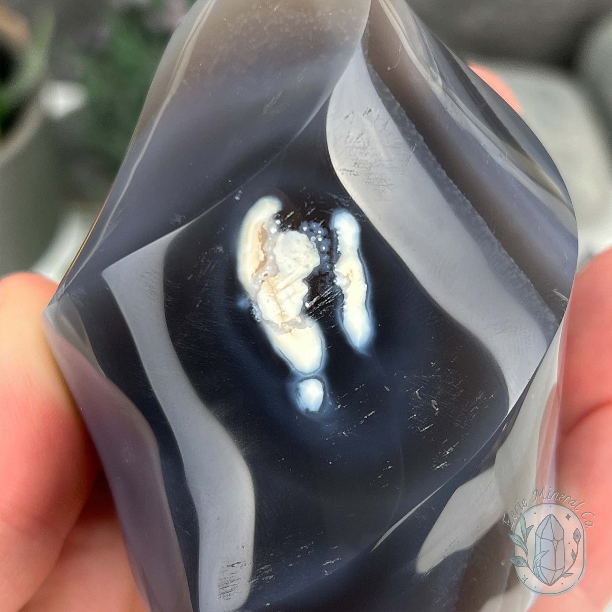 Polished Black and White Orca Agate Flame