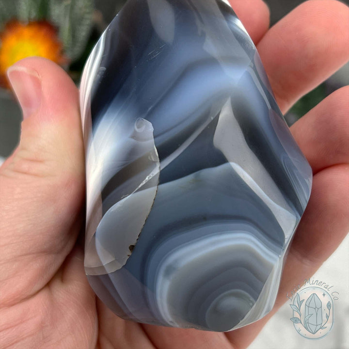 Polished Black and White Orca Agate Flame