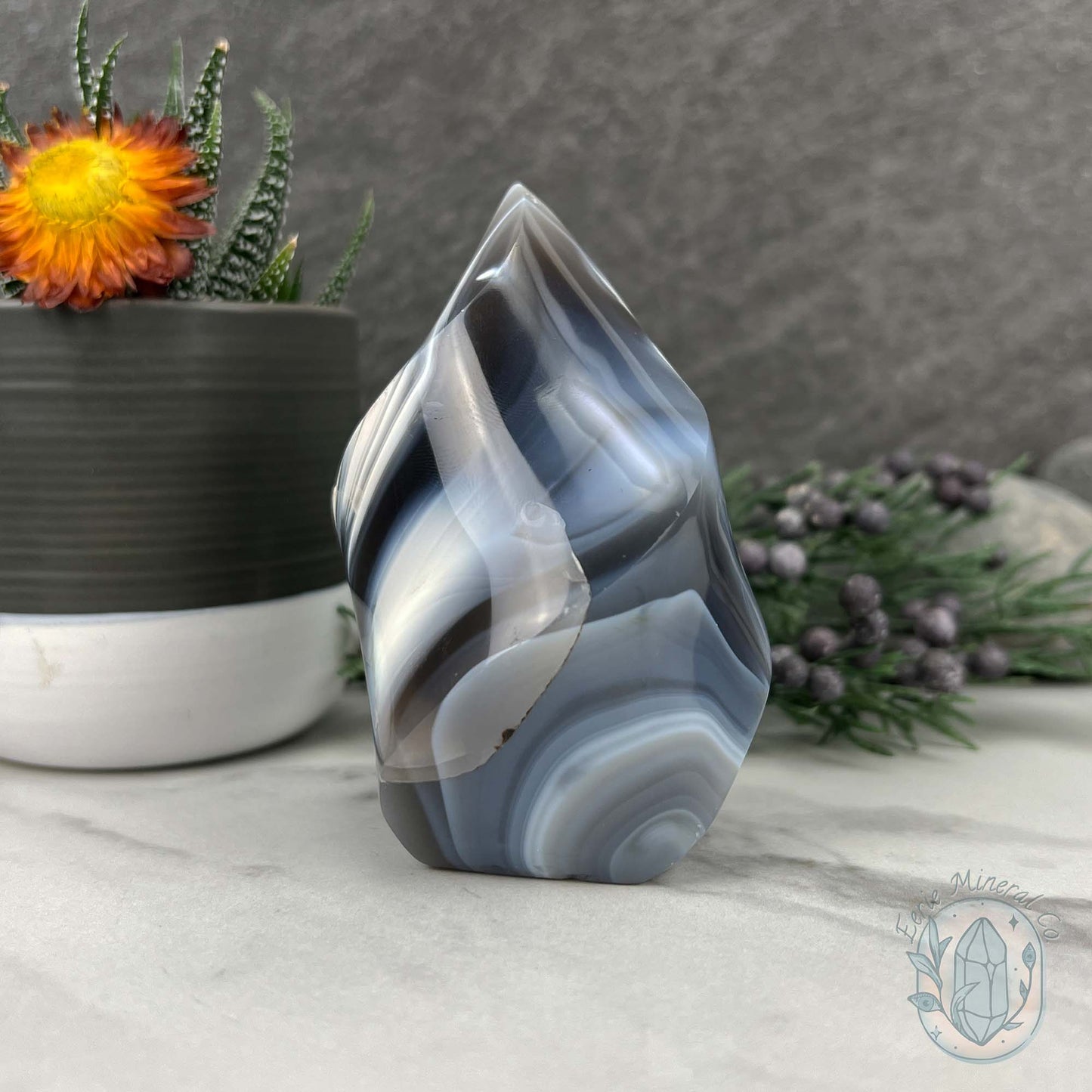 Polished Black and White Orca Agate Flame