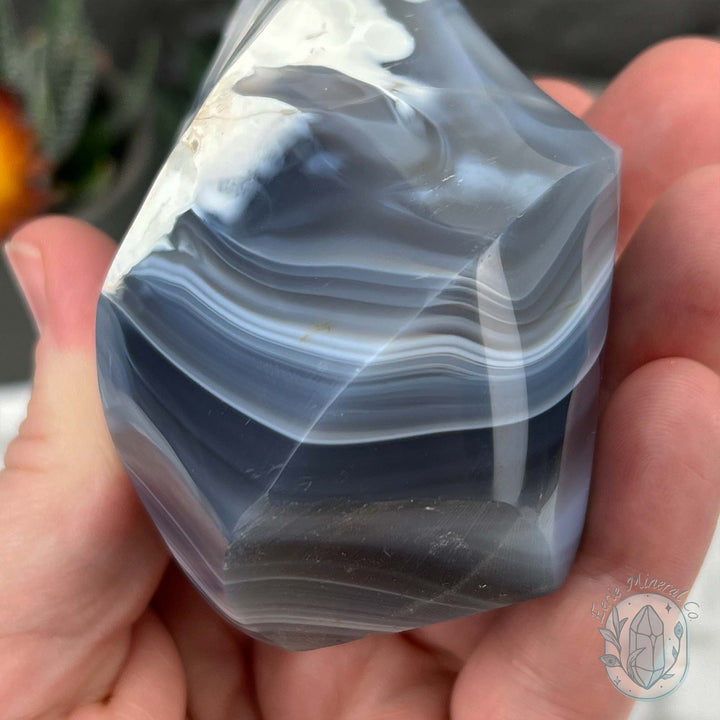 Polished Black and White Orca Agate Flame