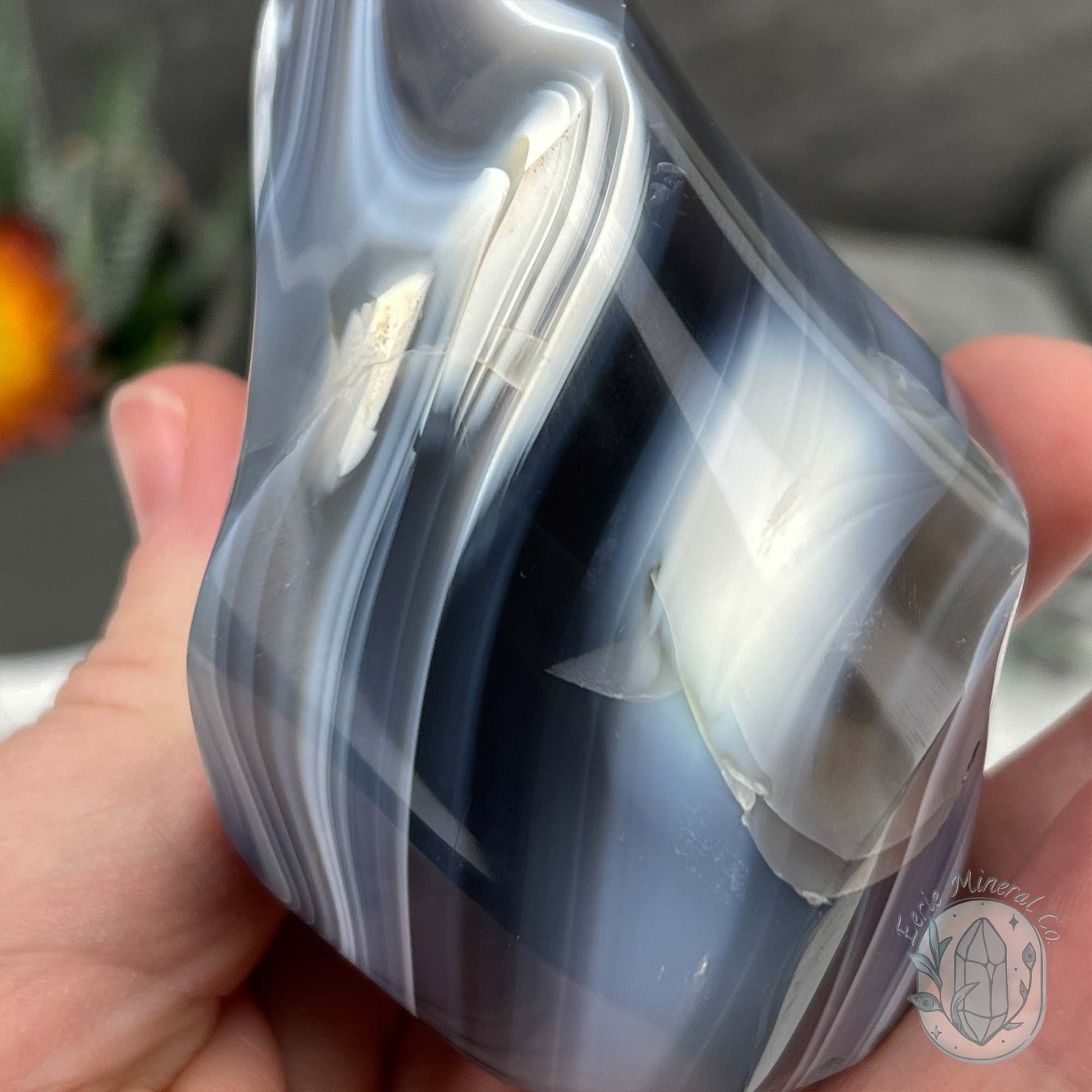 Polished Black and White Orca Agate Flame