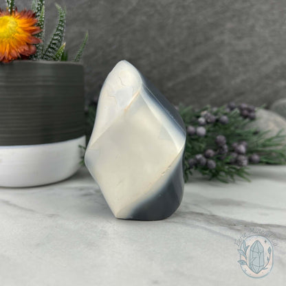 Polished Black and White Orca Agate Flame