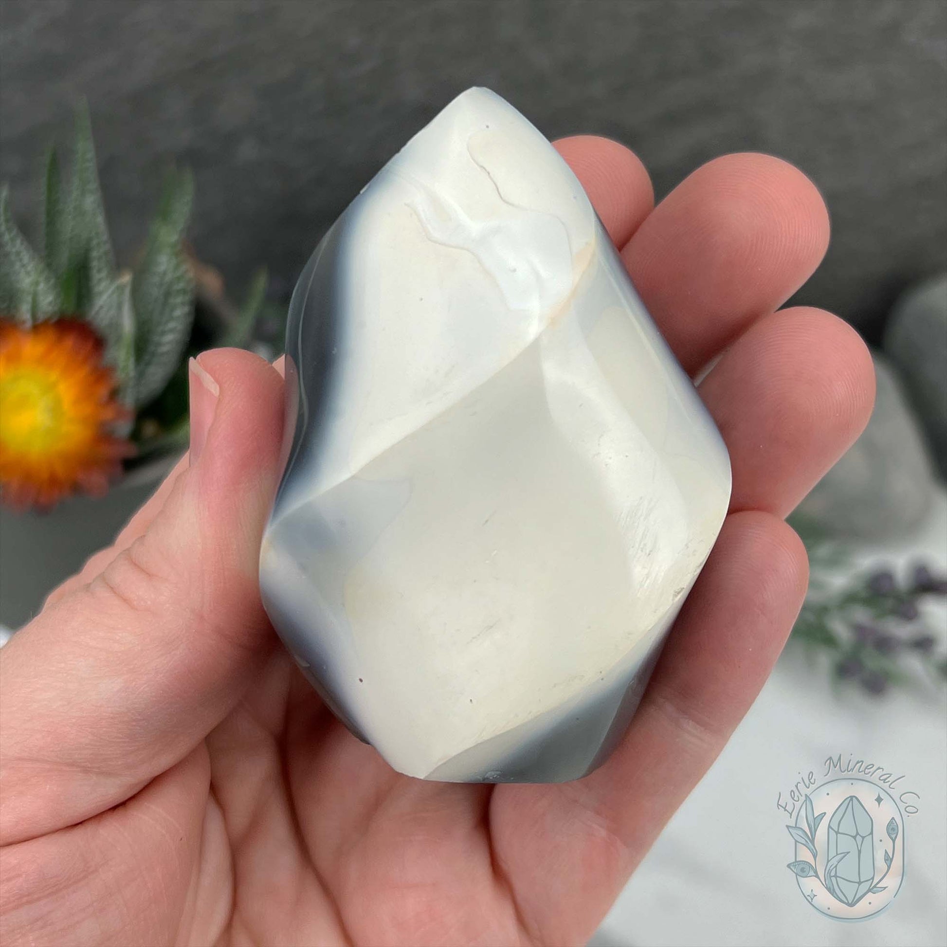 Polished Black and White Orca Agate Flame