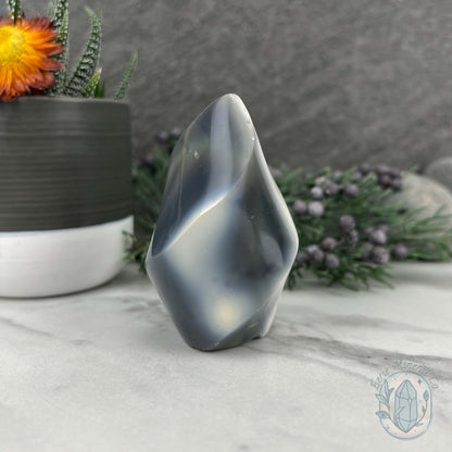 Polished Black and White Orca Agate Flame