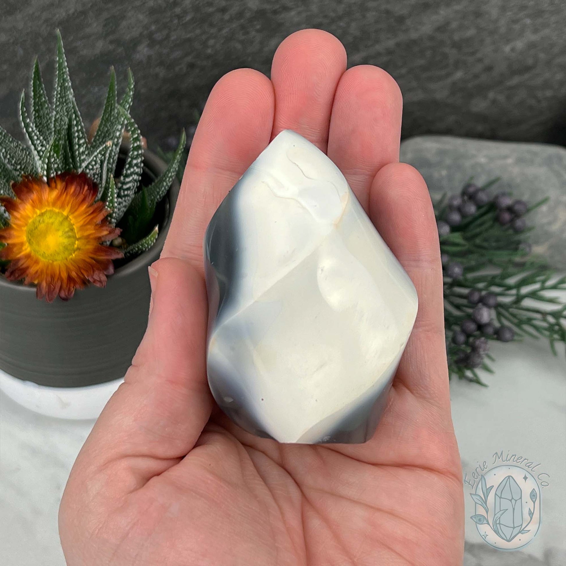 Polished Black and White Orca Agate Flame