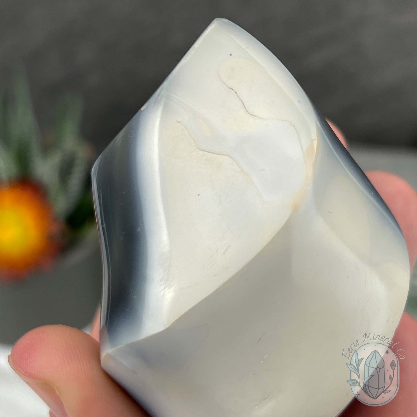 Polished Black and White Orca Agate Flame