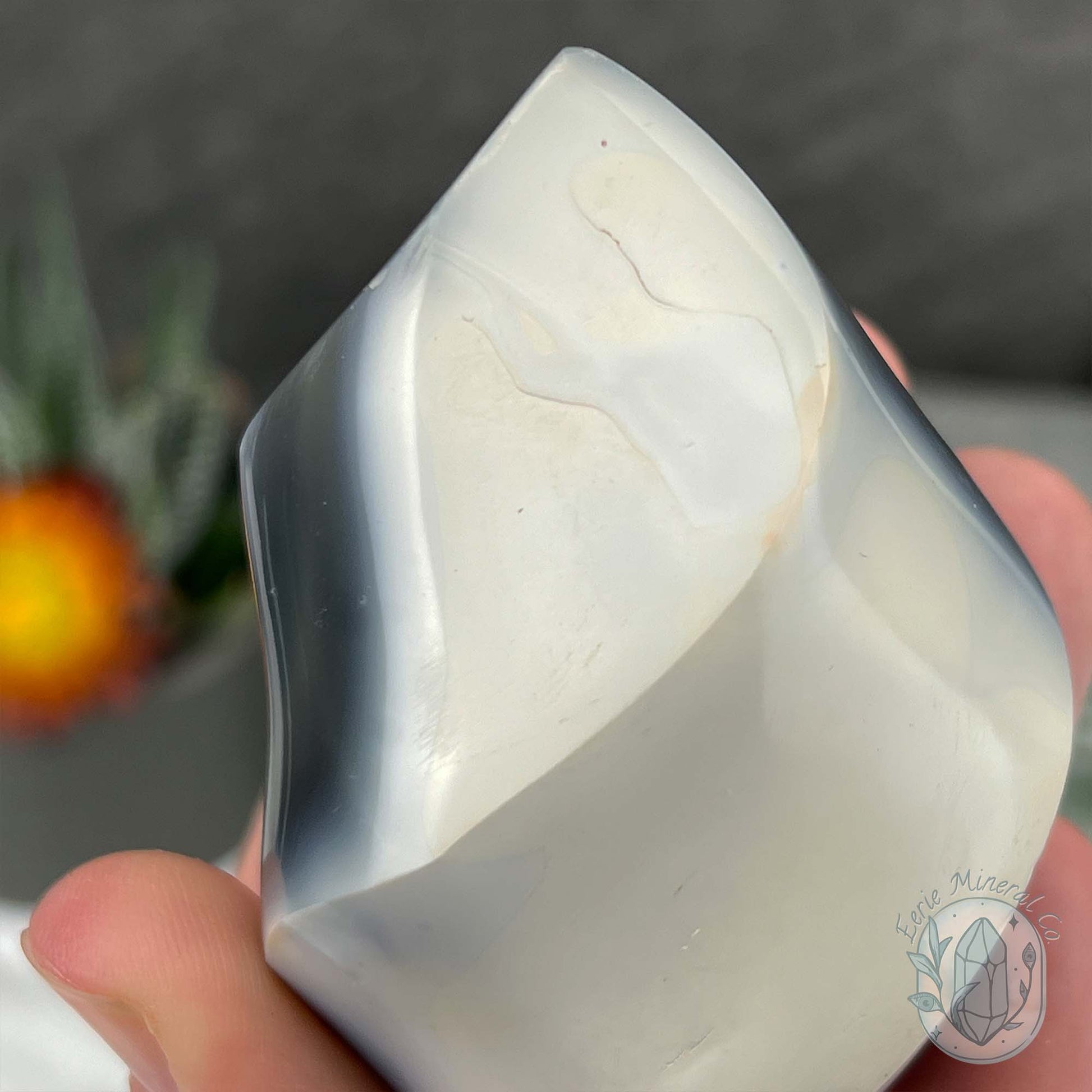 Polished Black and White Orca Agate Flame