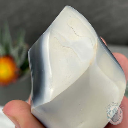 Polished Black and White Orca Agate Flame