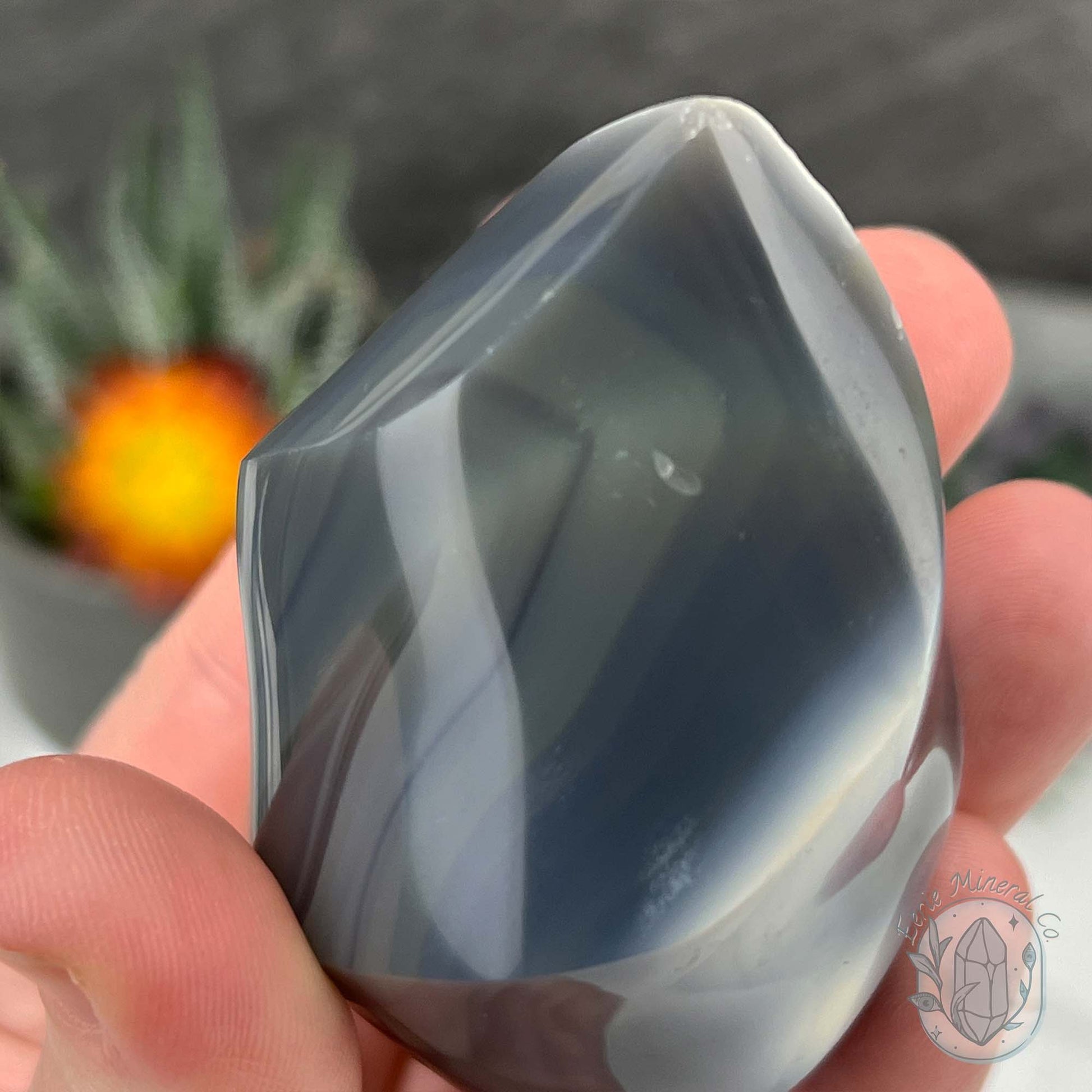 Polished Black and White Orca Agate Flame