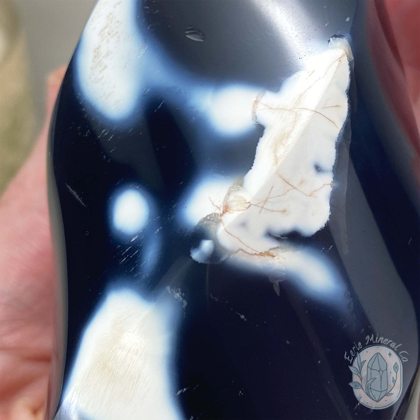 Polished Black and White Orca Agate Flame
