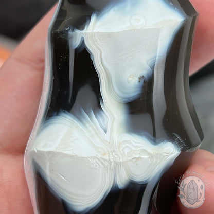 Polished Orca Agate Flame
