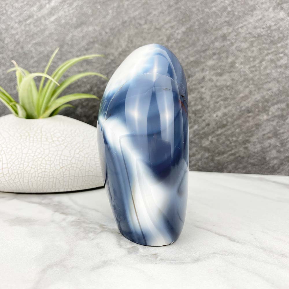 Polished Orca Agate Freeform