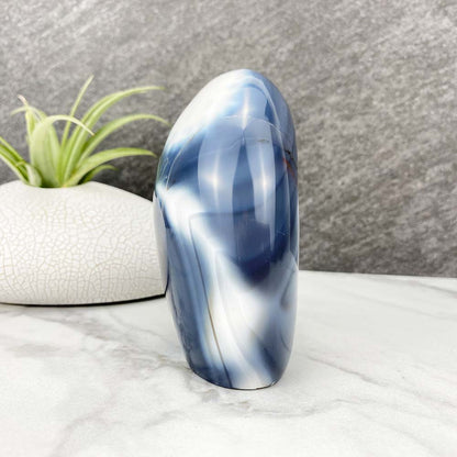 Polished Orca Agate Freeform