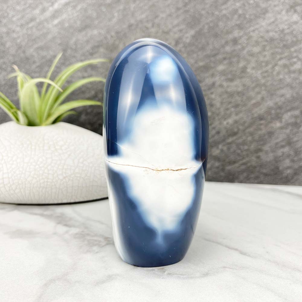 Polished Orca Agate Freeform