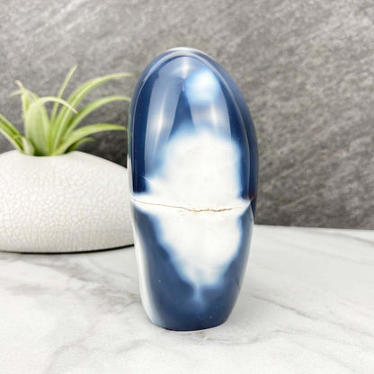 Polished Orca Agate Freeform
